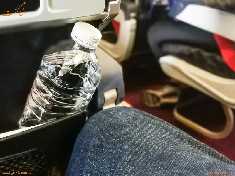 نوشیدن آب در پرواز طولانی - الی گشت