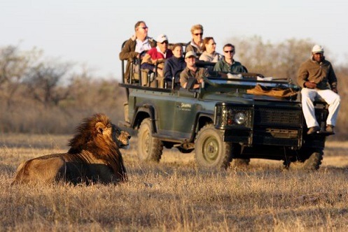 national park Kruger national park Kruger