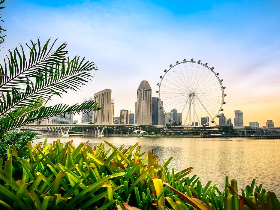 چرخ و فلک فلایر سنگاپور