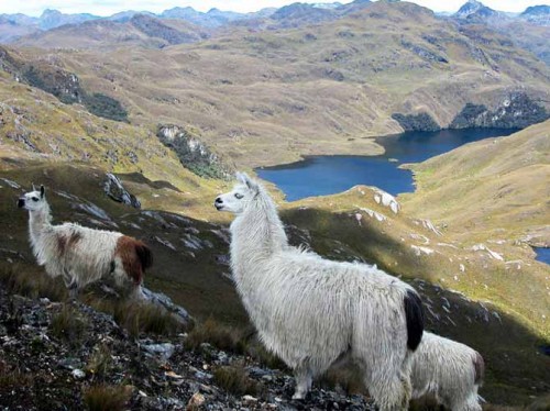 paisajesecuador23 سفر بدون ویزا