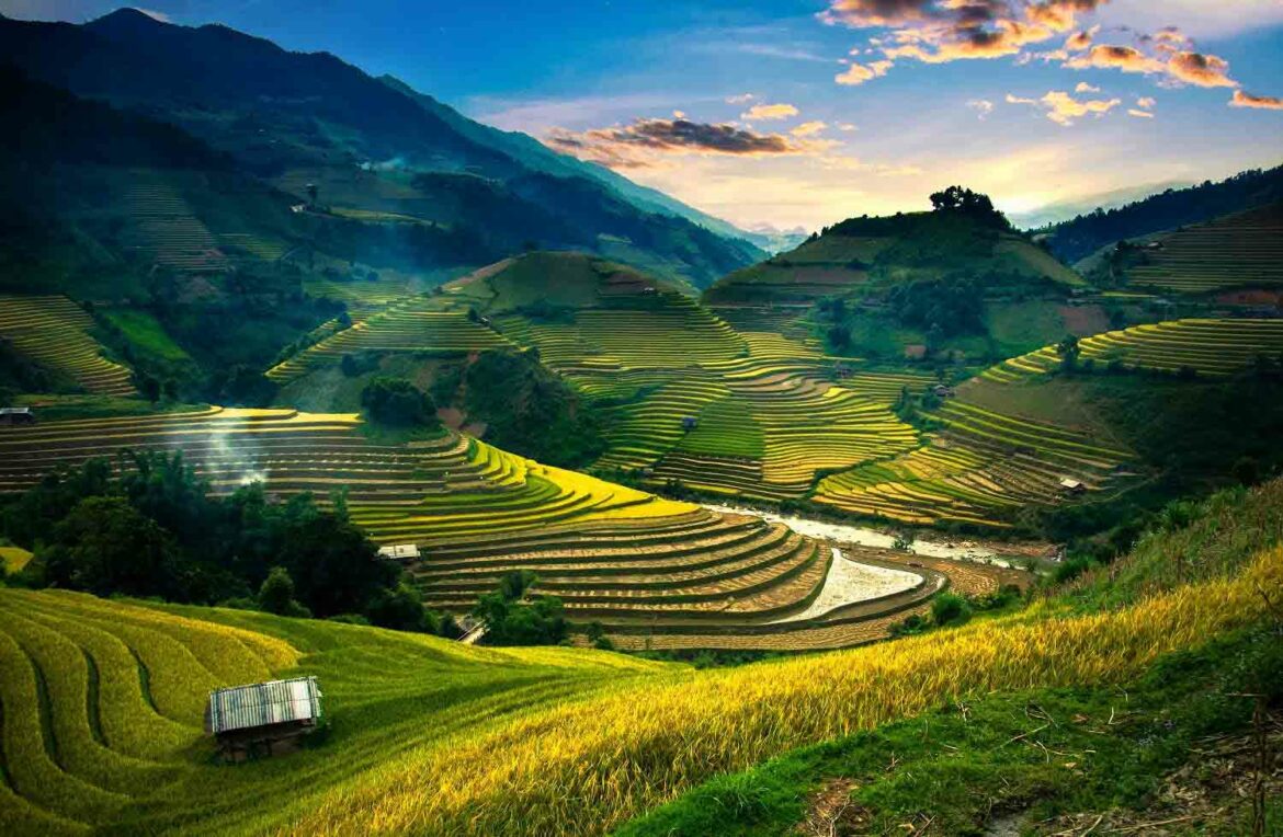shutterstock_183426878—copie بالی