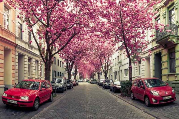 گذرگاه های رویایی