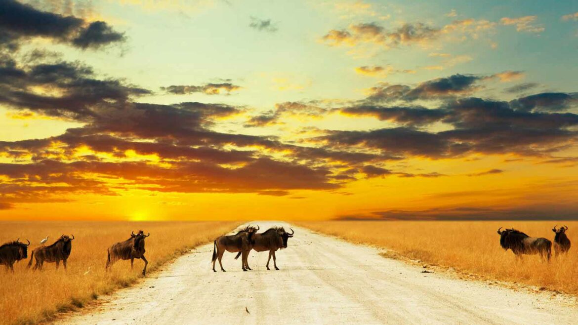 آفریقای جنوبی