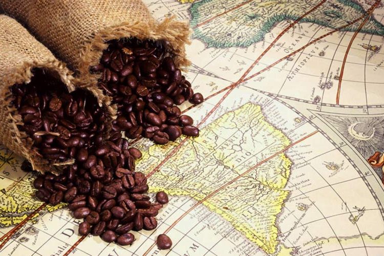 قهوه در برزیل قهوه در برزیل