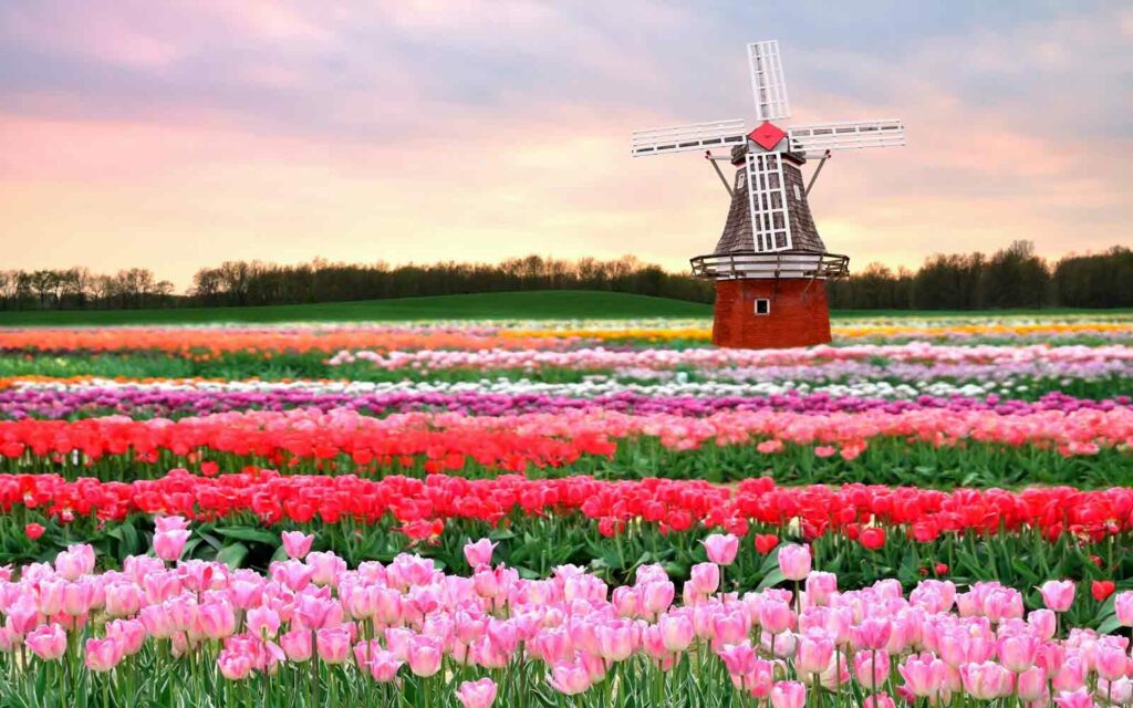 Keukenhof-Gardens-Amsterdam