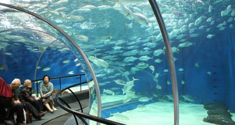 آکواریوم شانگهای (Shanghai Aquarium)