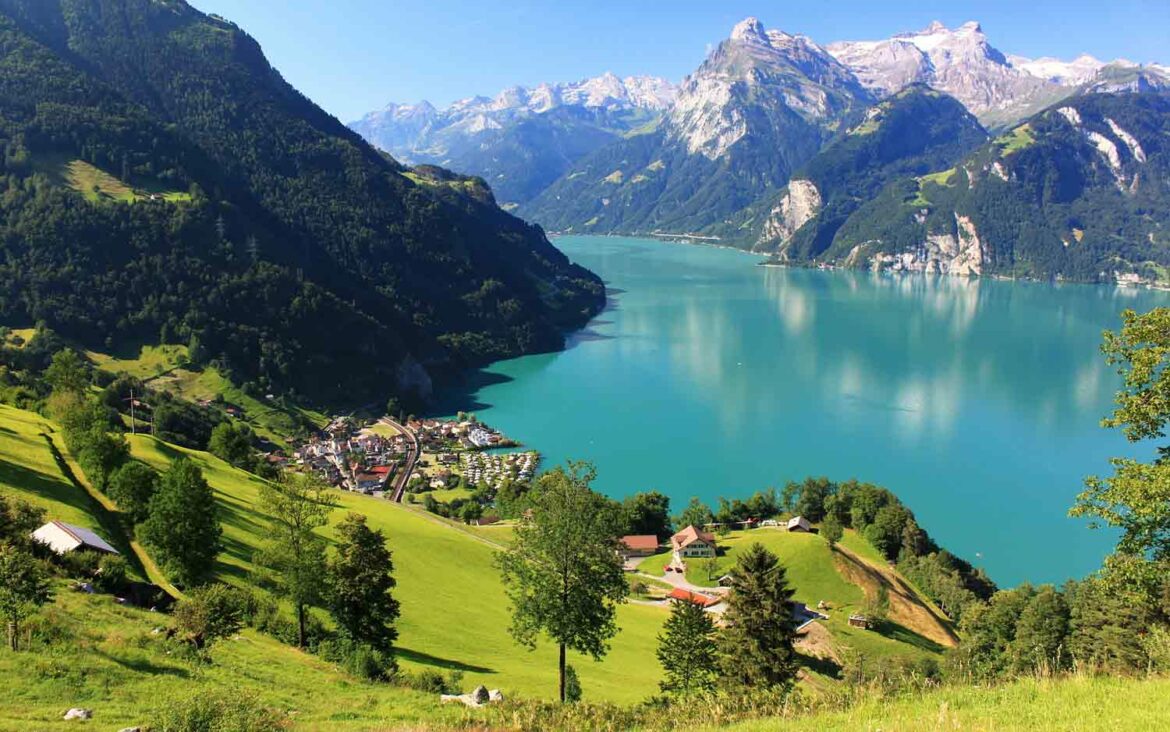 _lucerne