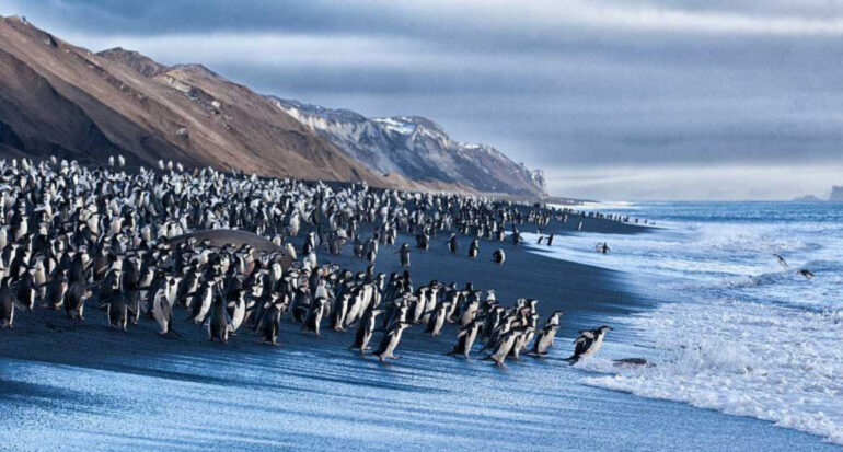 [عکس: Deception-Island-Antarctica-e1418990683226-770x413.jpg]