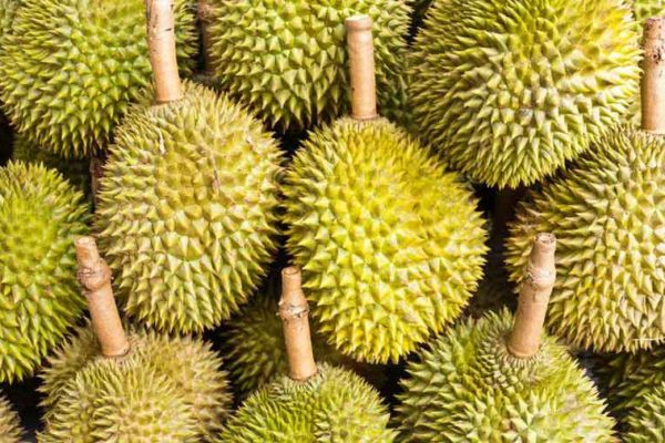 durian