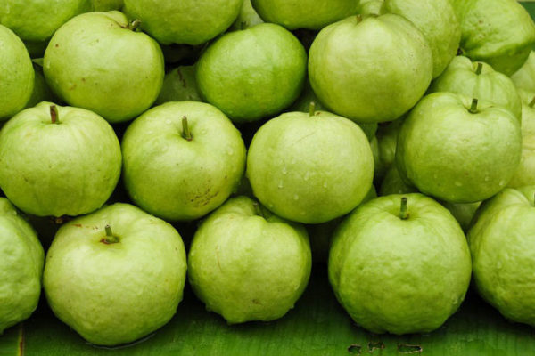 guava