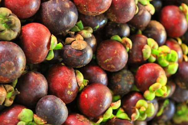 mangosteens