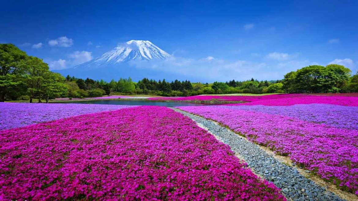 japan
