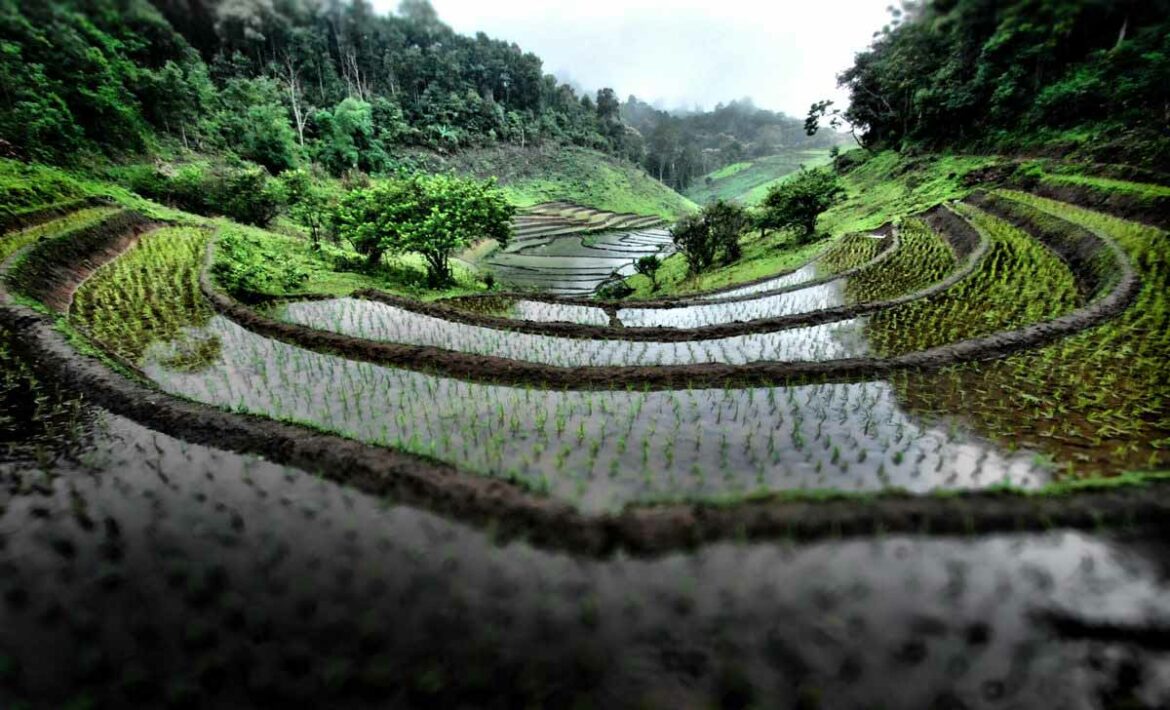 northern-Thailand