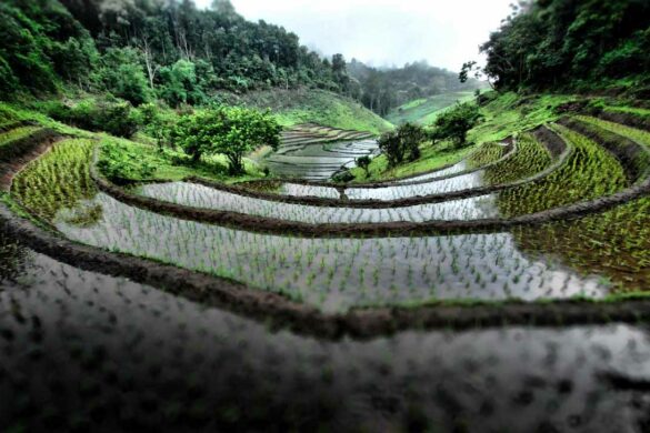northern-Thailand