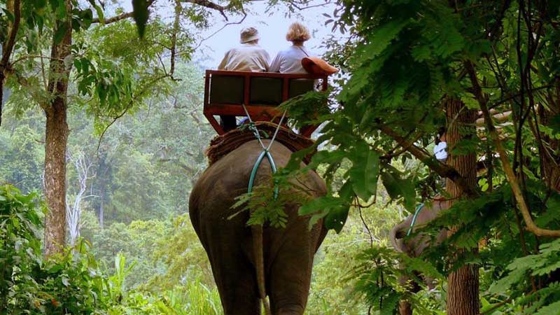 سفر با فیل