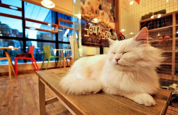 10-amazing-things-to-do-in-seoul-south- 10-amazing-things-to-do-in-seoul-south-