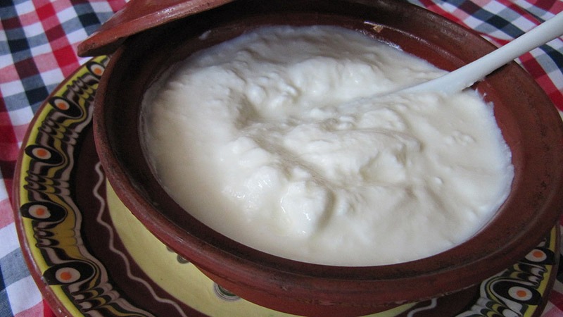 Bulgarian yogurt