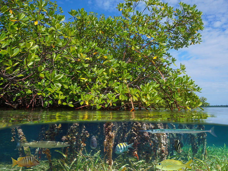 سفر به دوحه