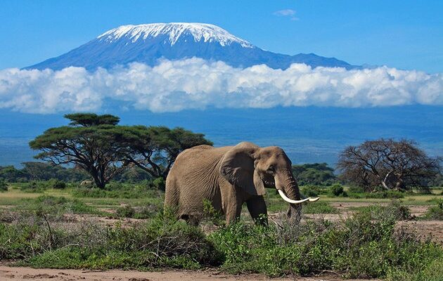 africa-best-game-reserves-amboseli