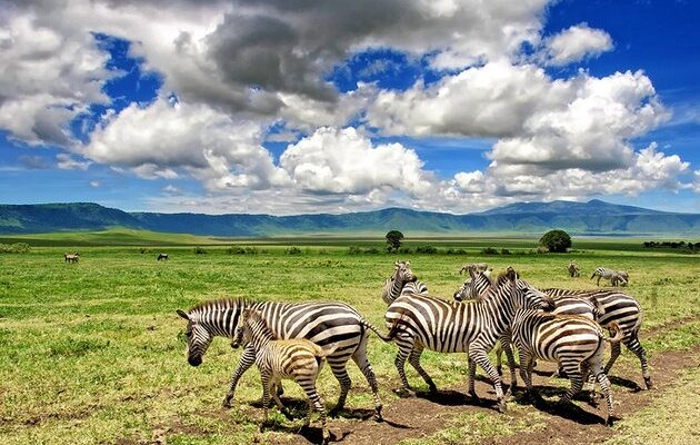 africa-best-game-reserves-ngorongoro