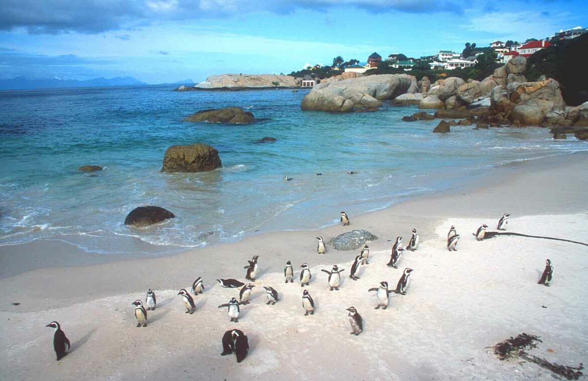 cape-town