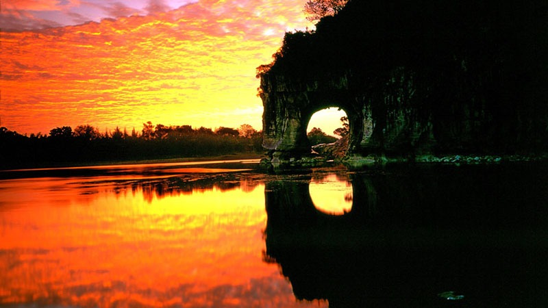 elephant trunk night