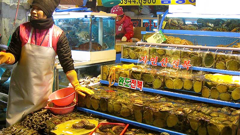 fish market in seoul