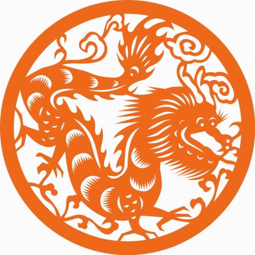zdragon zdragon