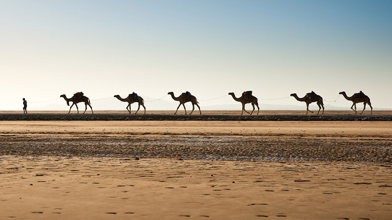 danakil desert