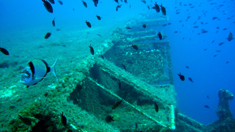 zenobia wreck zenobia wreck