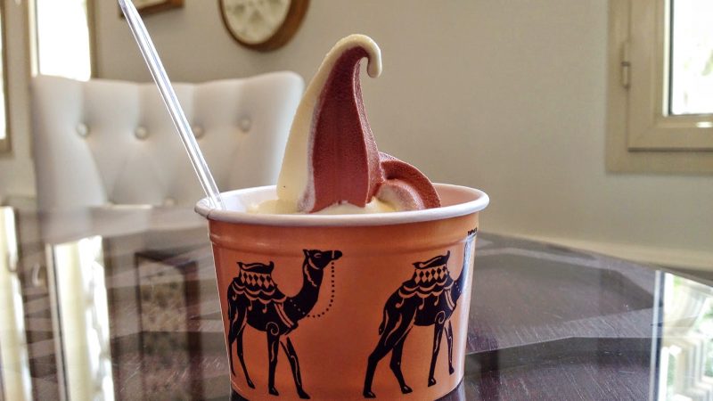 camel icecream