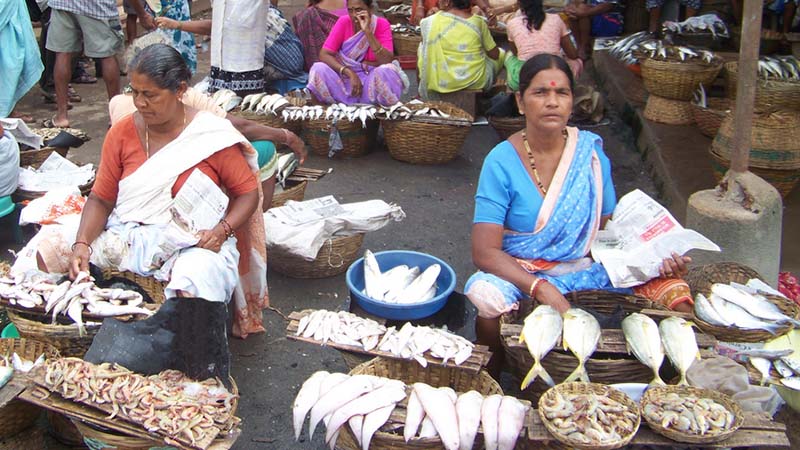 chapora fish market