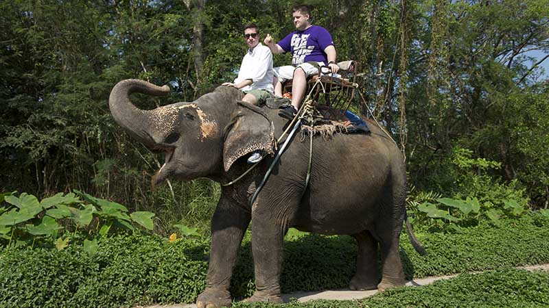 ride an elephant in thailand