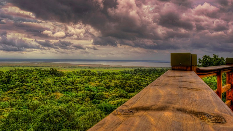 پارک ملی isimangaliso wetland در آفریقای جنوبی