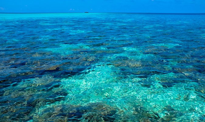 maldives5 maldives5