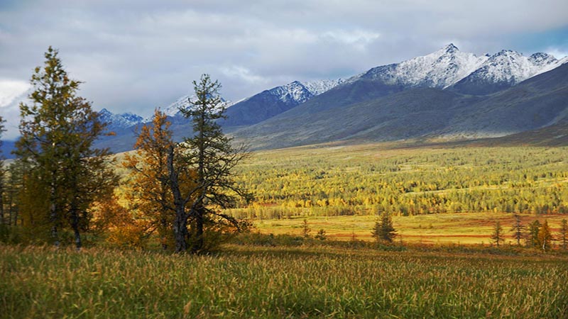 sochi national park