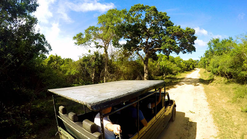 سافاری در سریلانکا