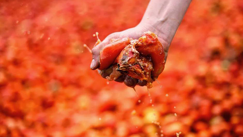 فستیوال لا توماتینا فستیوال لا توماتینا