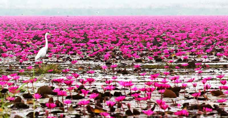 دریاچه زیبای تایلند