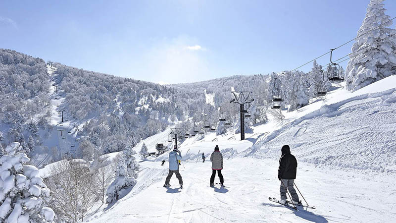 اسکی در هاکویدو ژاپن