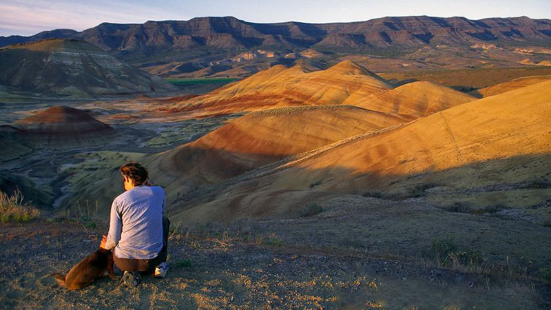 کریستینا شیلر