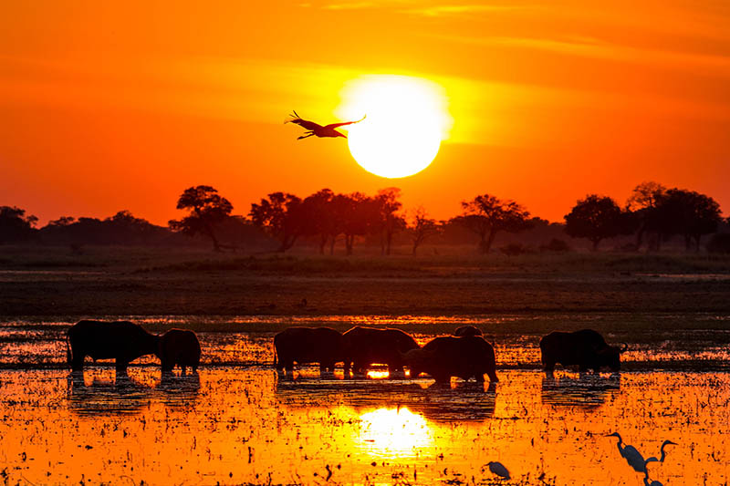 غروب خورشید در نامبیا غروب خورشید در نامبیا