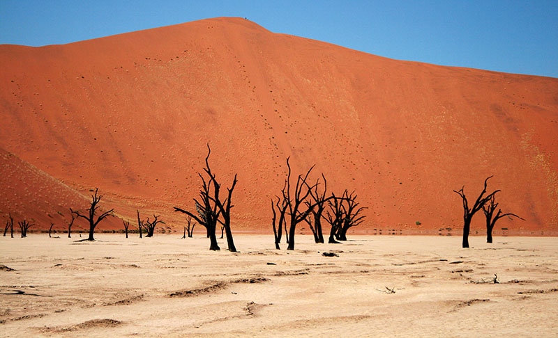 بیابان نامبیا