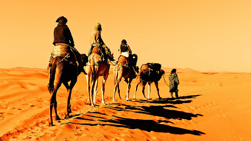 سفر با تور