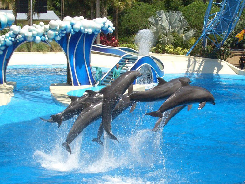 پارک دلفین سیا لانیا در گدشگری در آنتالیا