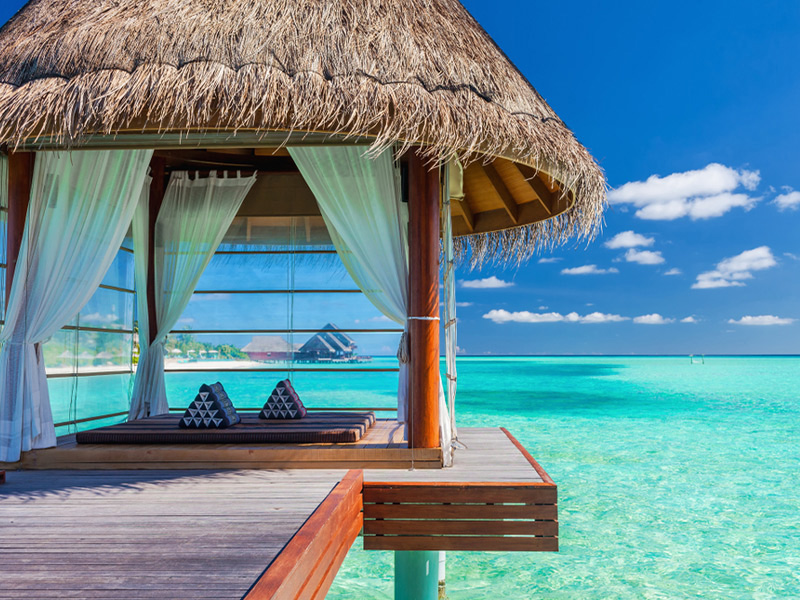 هتل ها و پروازها را آنلاین رزرو کنید - الی گشت