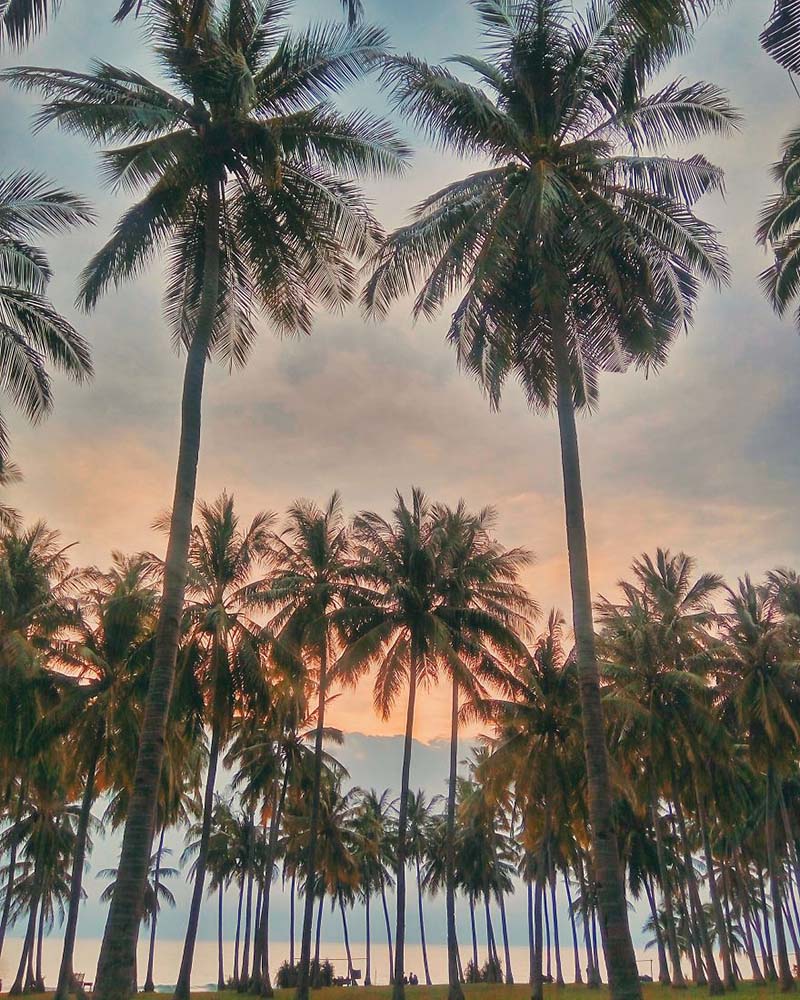 غروب خورشید در لومبوک | لومبوک در اندونزی لومبوک در انونزی