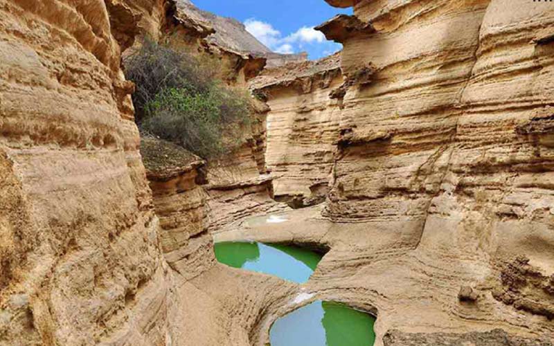 کال جنی کال جنی