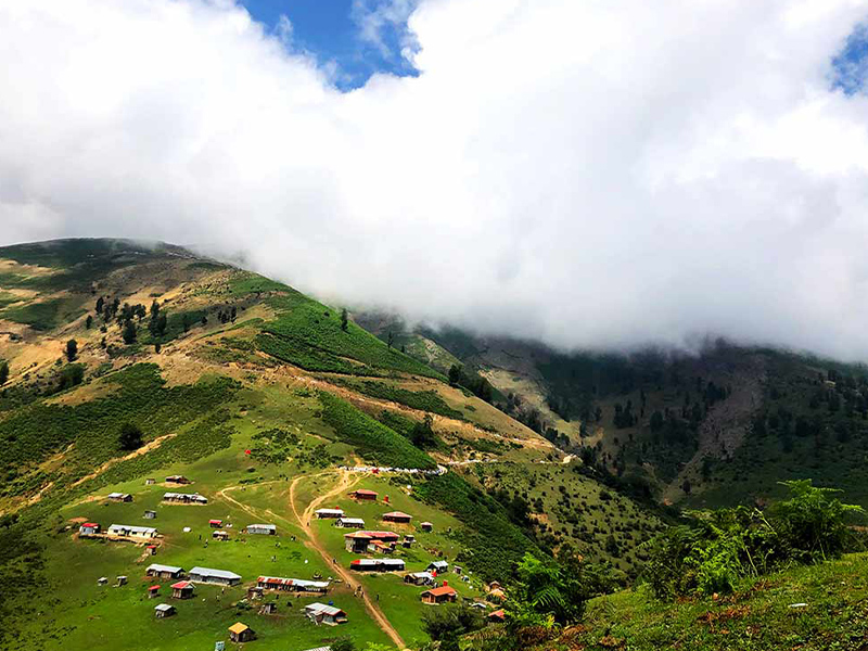 گمشده در مه، اولسبلانگاه - جنگل ابر در ایران - الی گشت