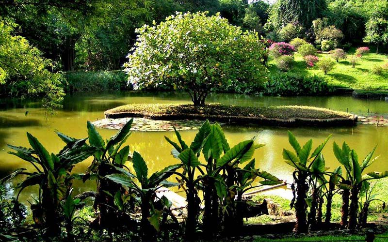 جاذبه های باتومی